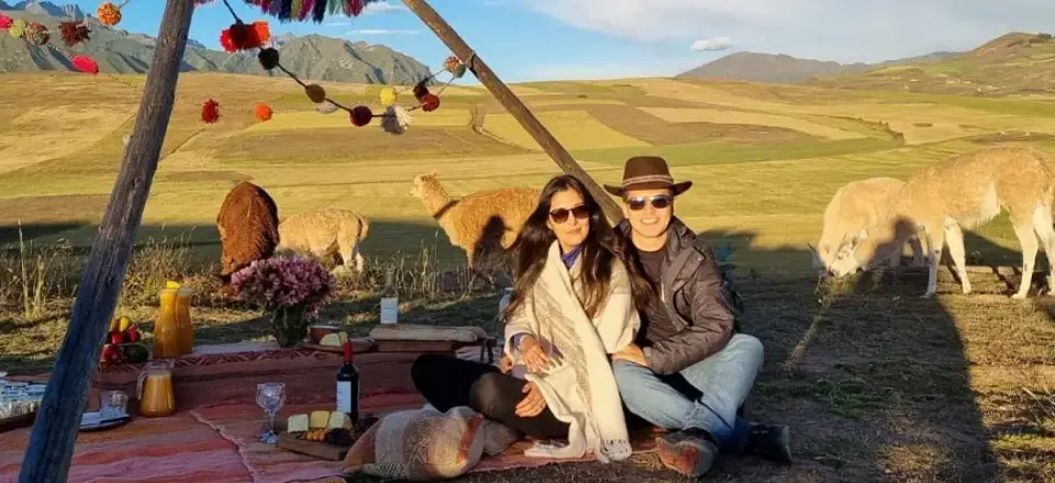 Where to See Llamas in Cusco-Dónde ver llamas en Cusco- Llamas en peru-Llamas in peru